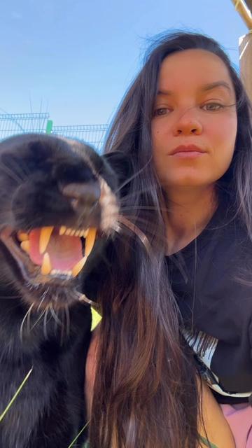 @Luna_the_pantera