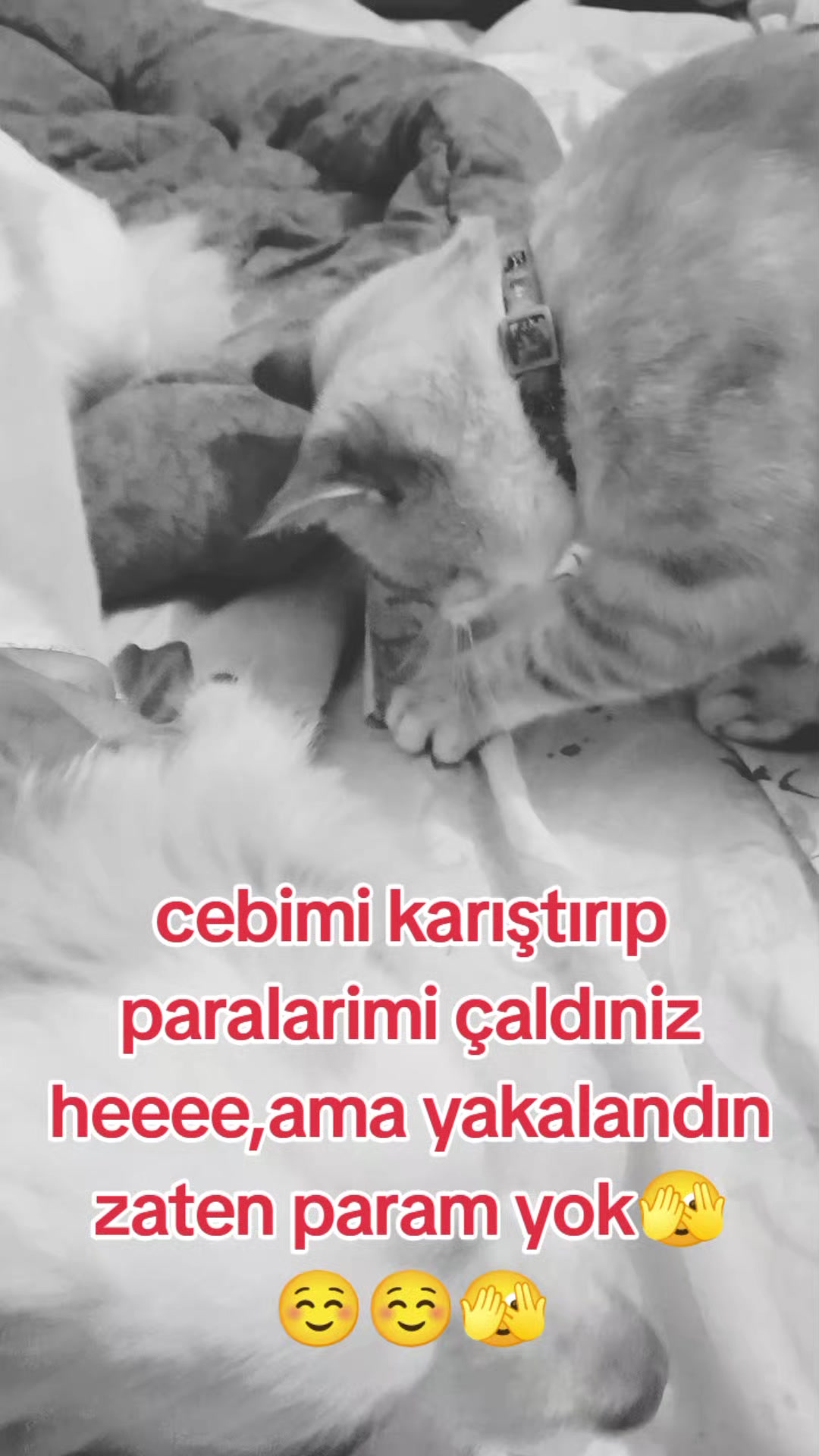@çamur