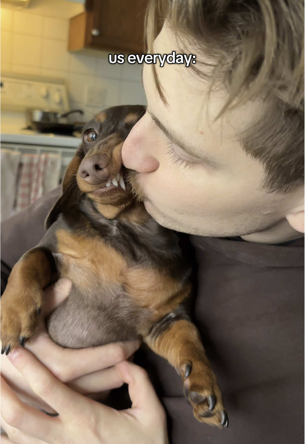 @rhubarb the doggo