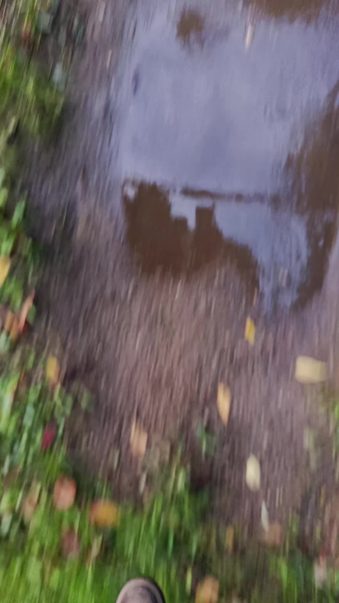 @ща́ет наше́