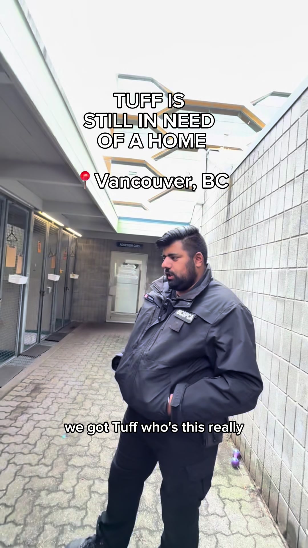 @BC SPCA