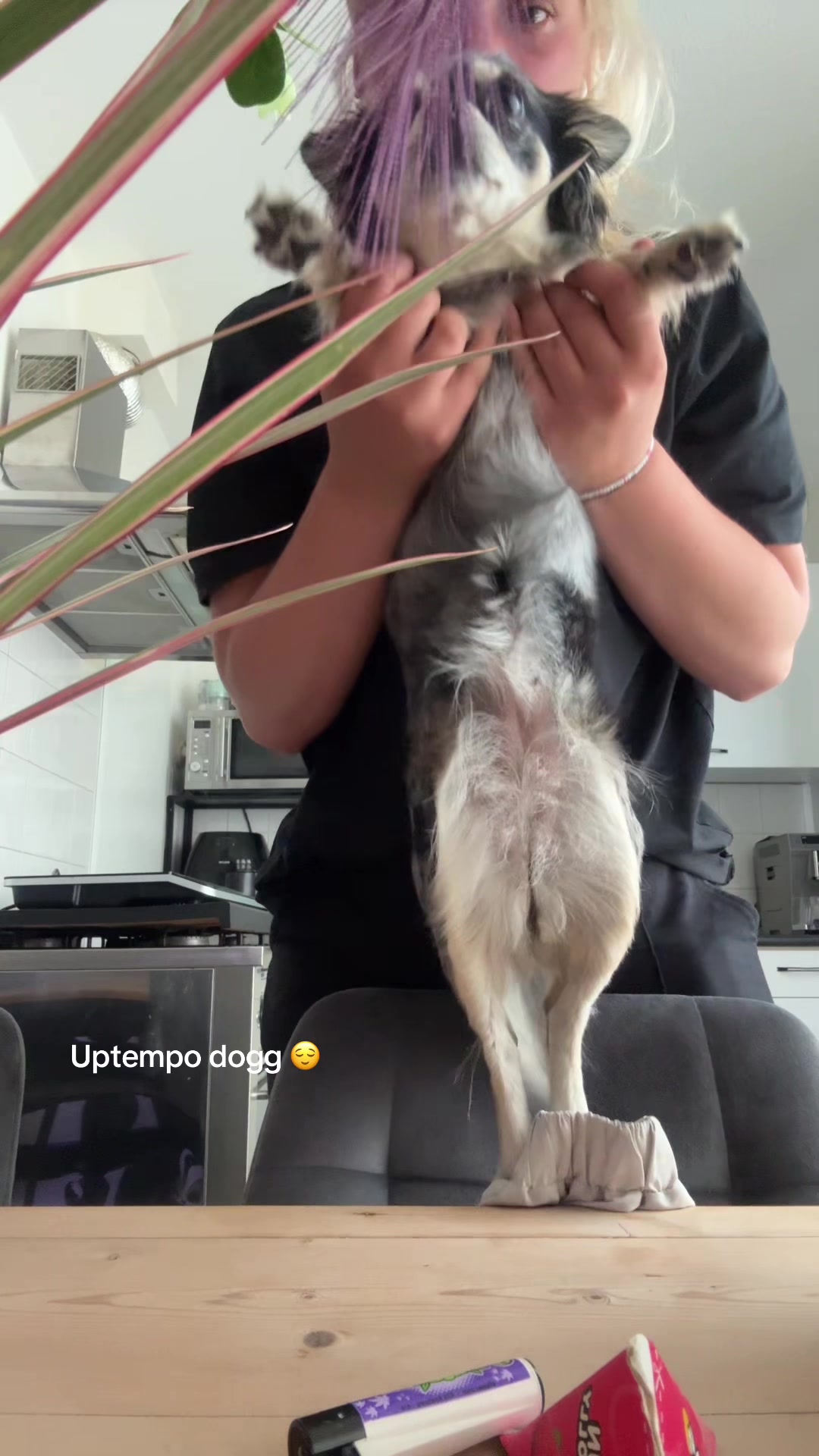 @🦘🦘🦘