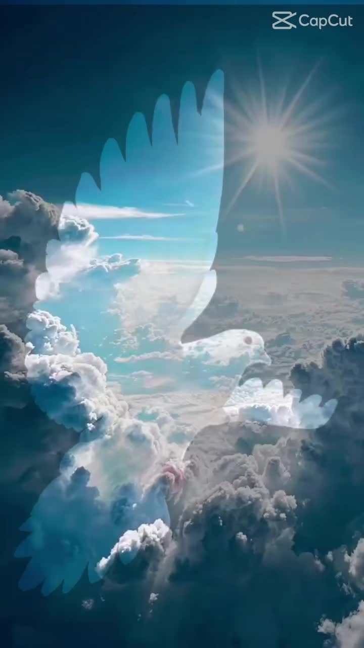 @guadalupearaiza335