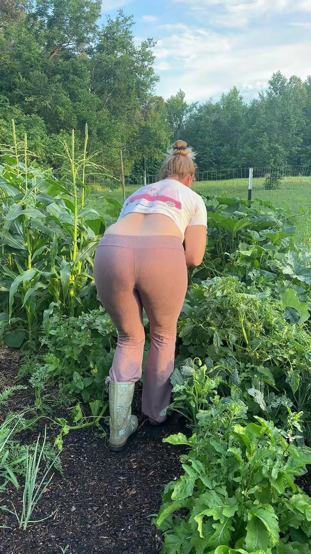 @farmerandtheharpiist