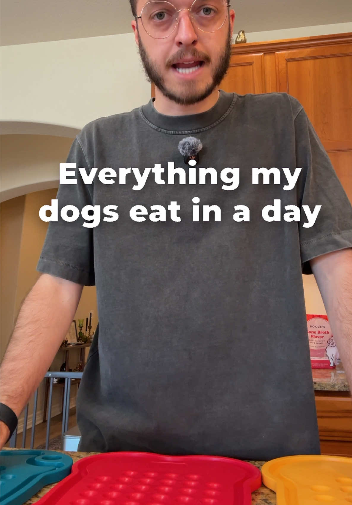 @The BK Pets - Dog Food Tips