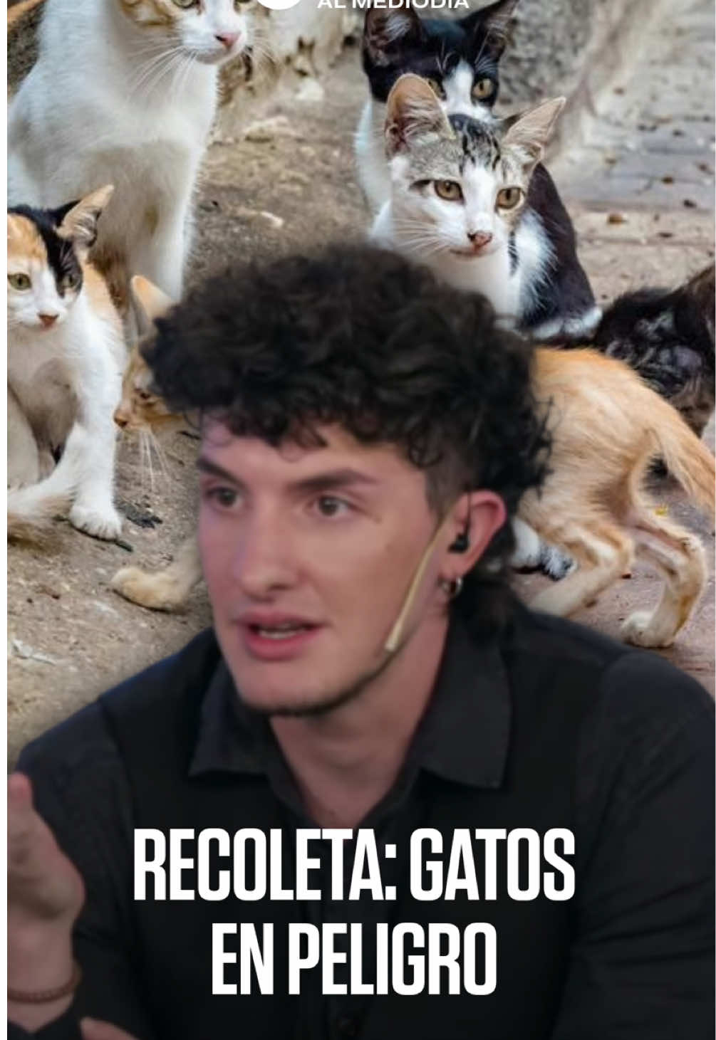 @infobae