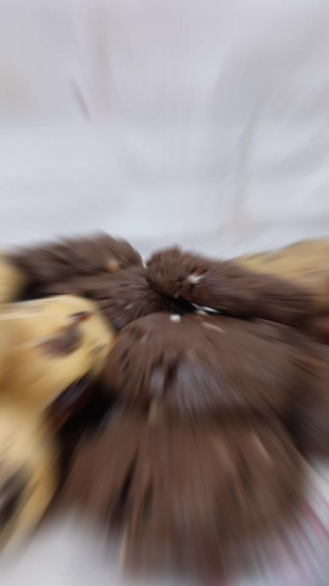 @Erika odil
