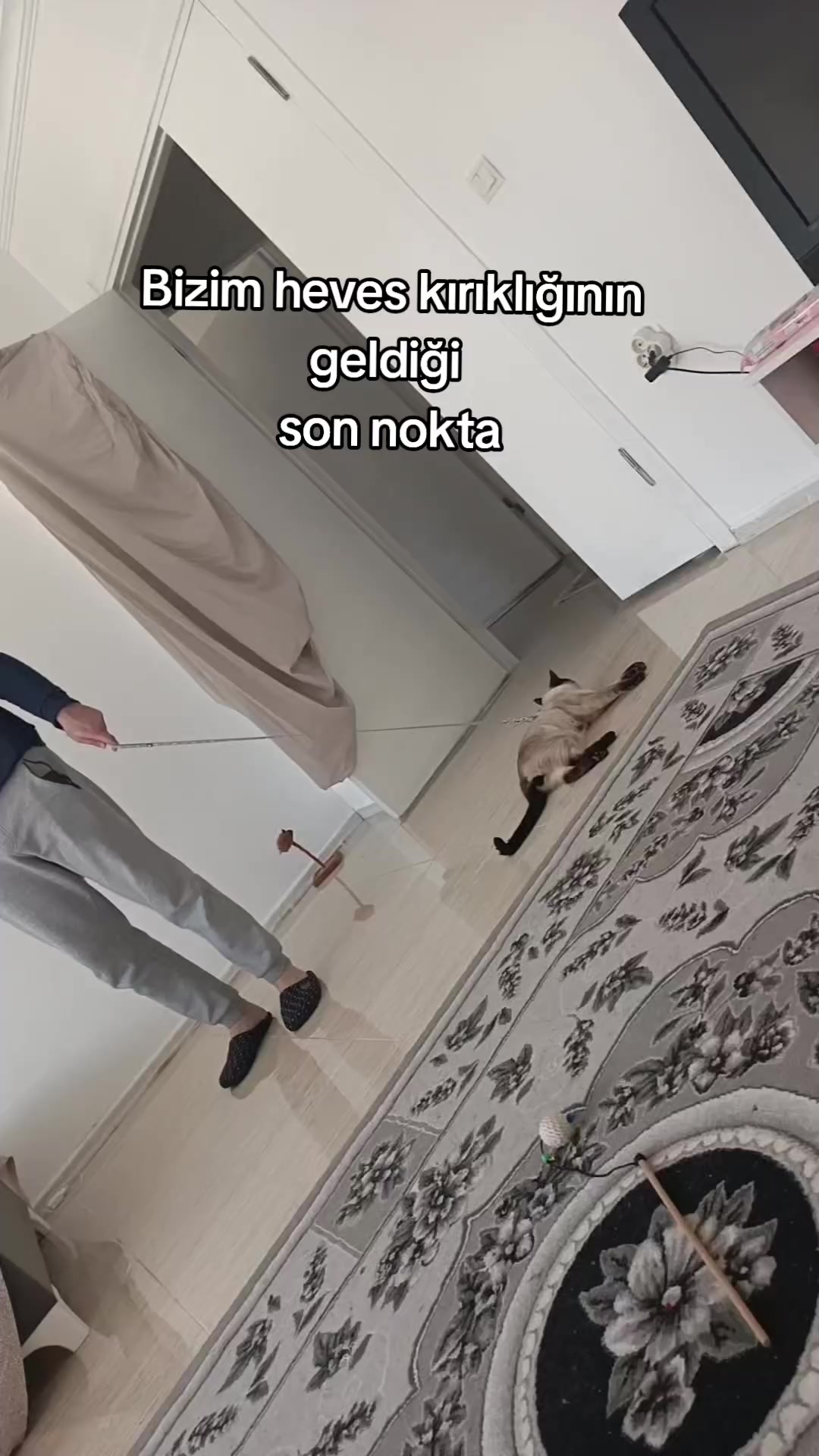 @NUR ARSLAN