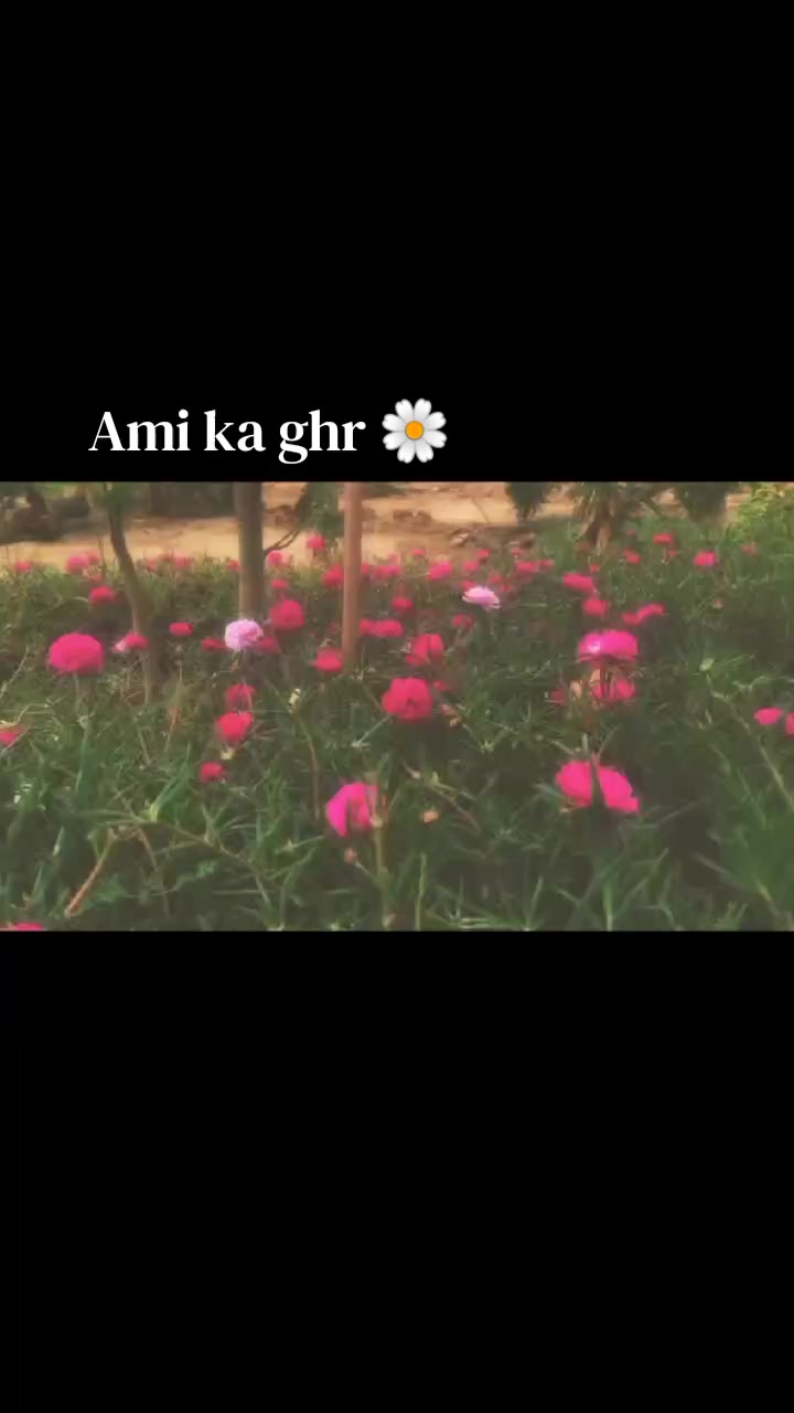 @ELLIE ✨