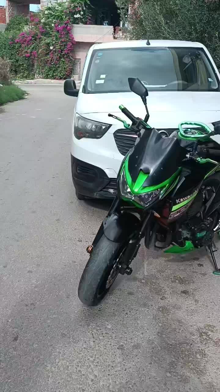 @Mezri Grissa