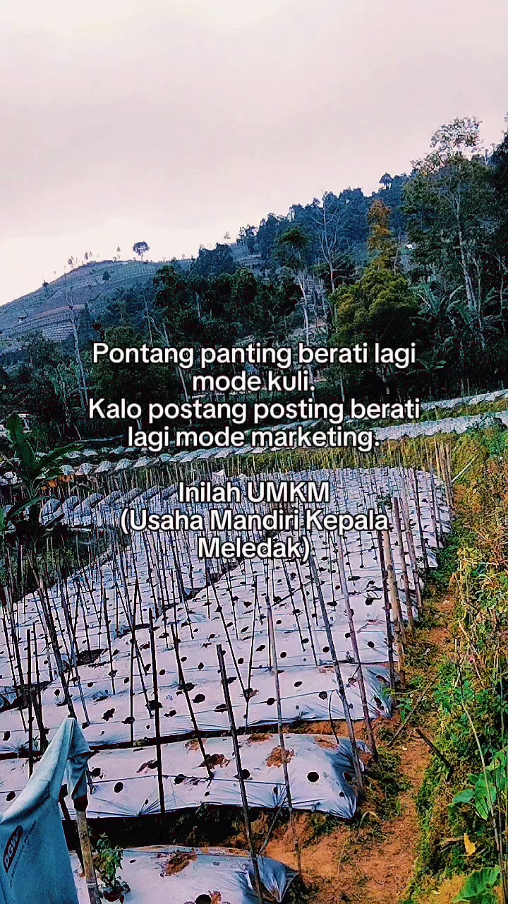 @zhanti
