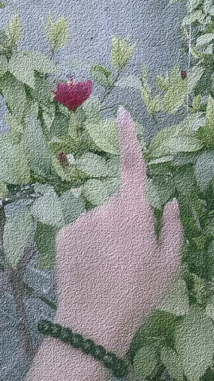 @đâđ٨Ů٨ŮA٨Ů٨Ůđâđ