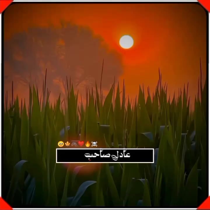 @zakhmi Dil💔