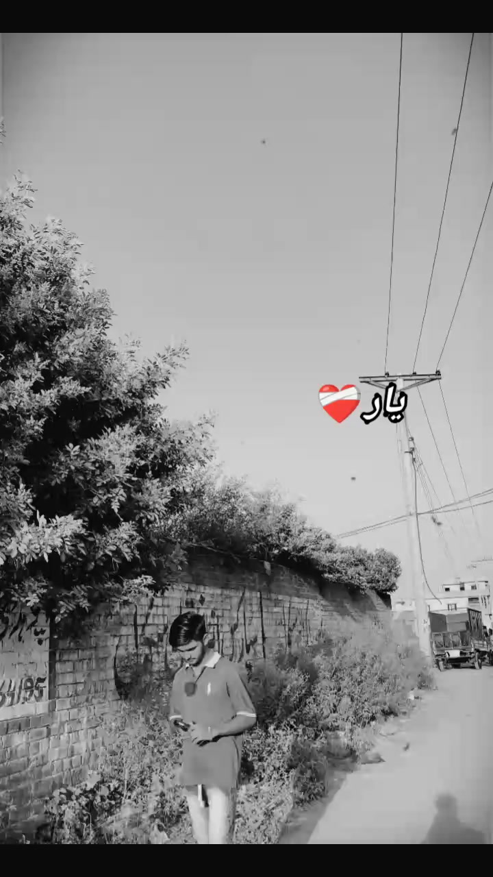 @Husnain🌸