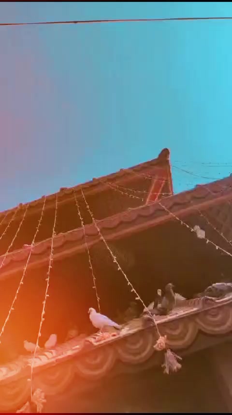 @A๐๐๐๐ ๐๐๐๐๐๐๐ฆ๐ค