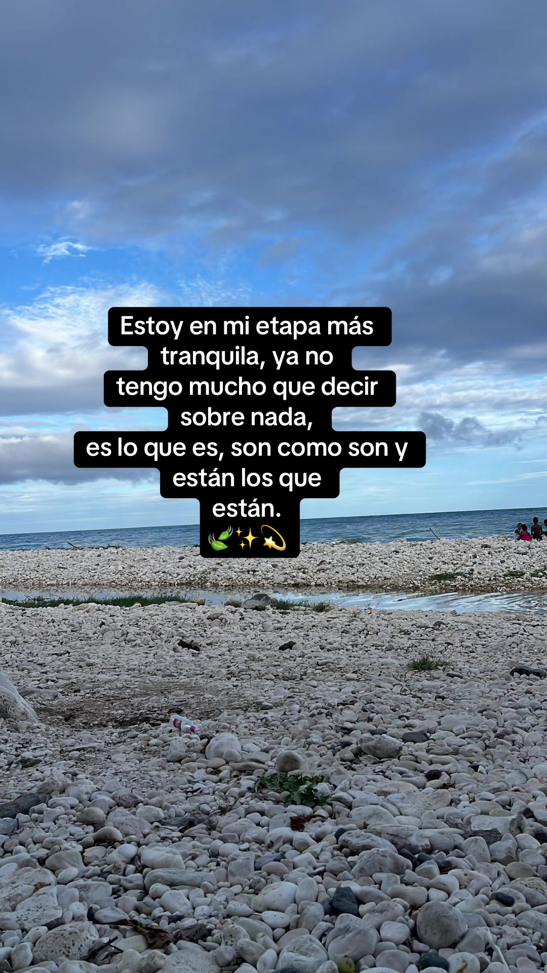 @Elizabeth Feliz