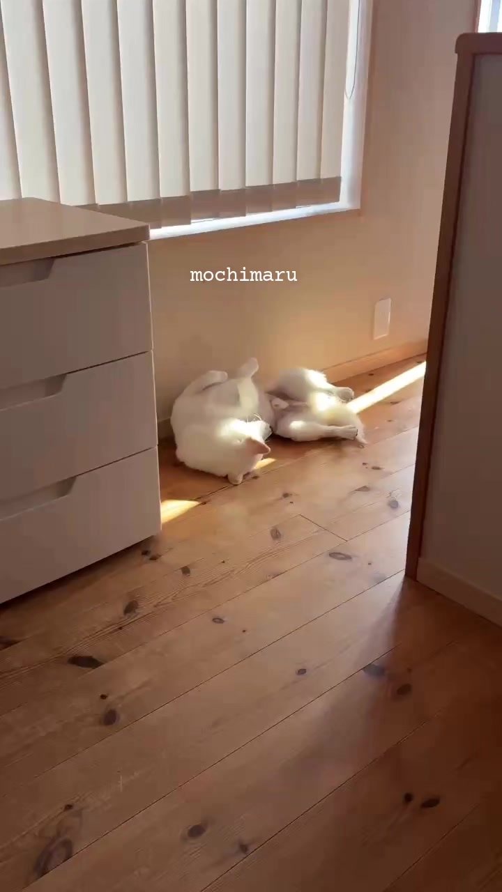 @Mochimaru