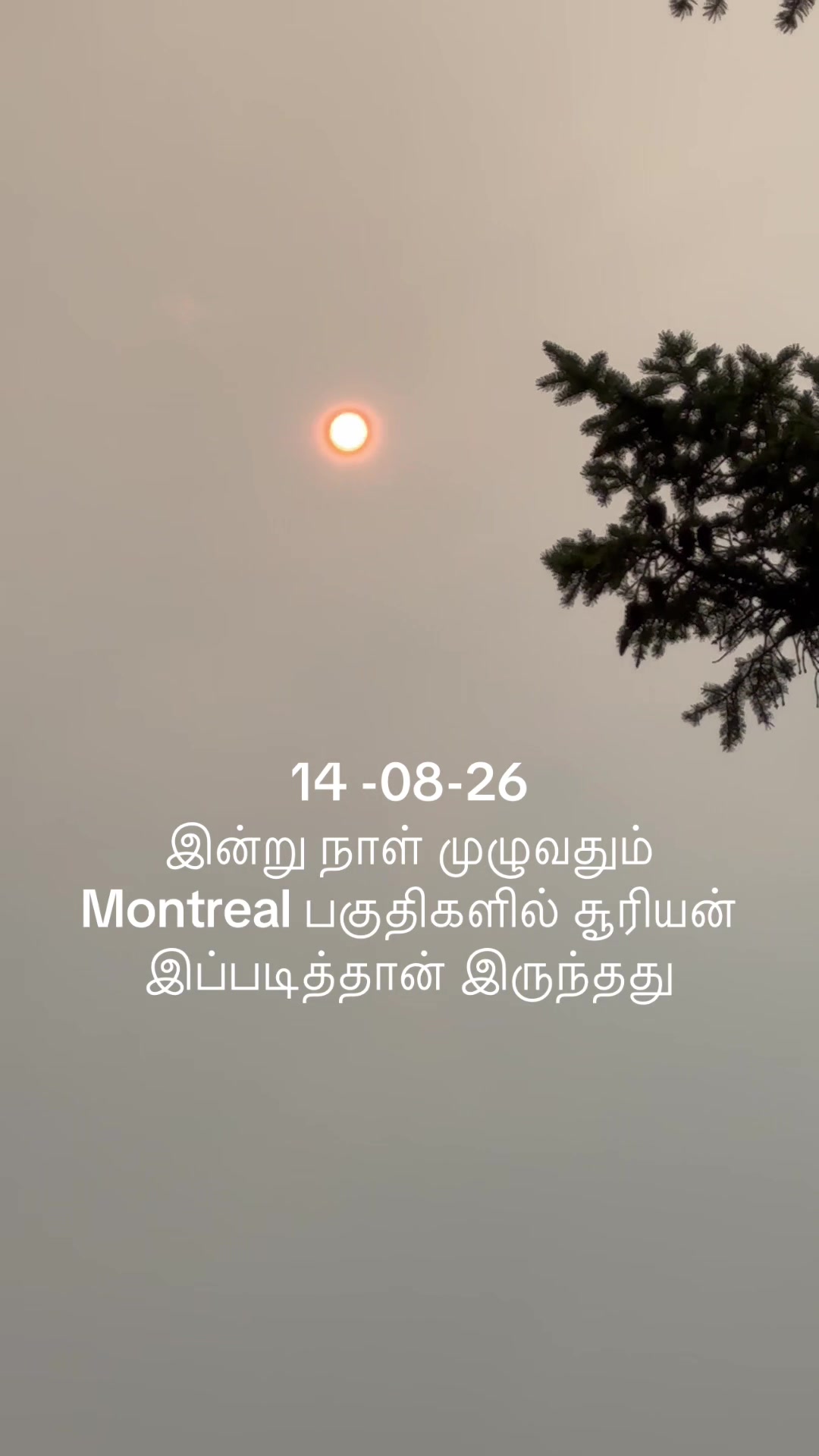 @umavelu397