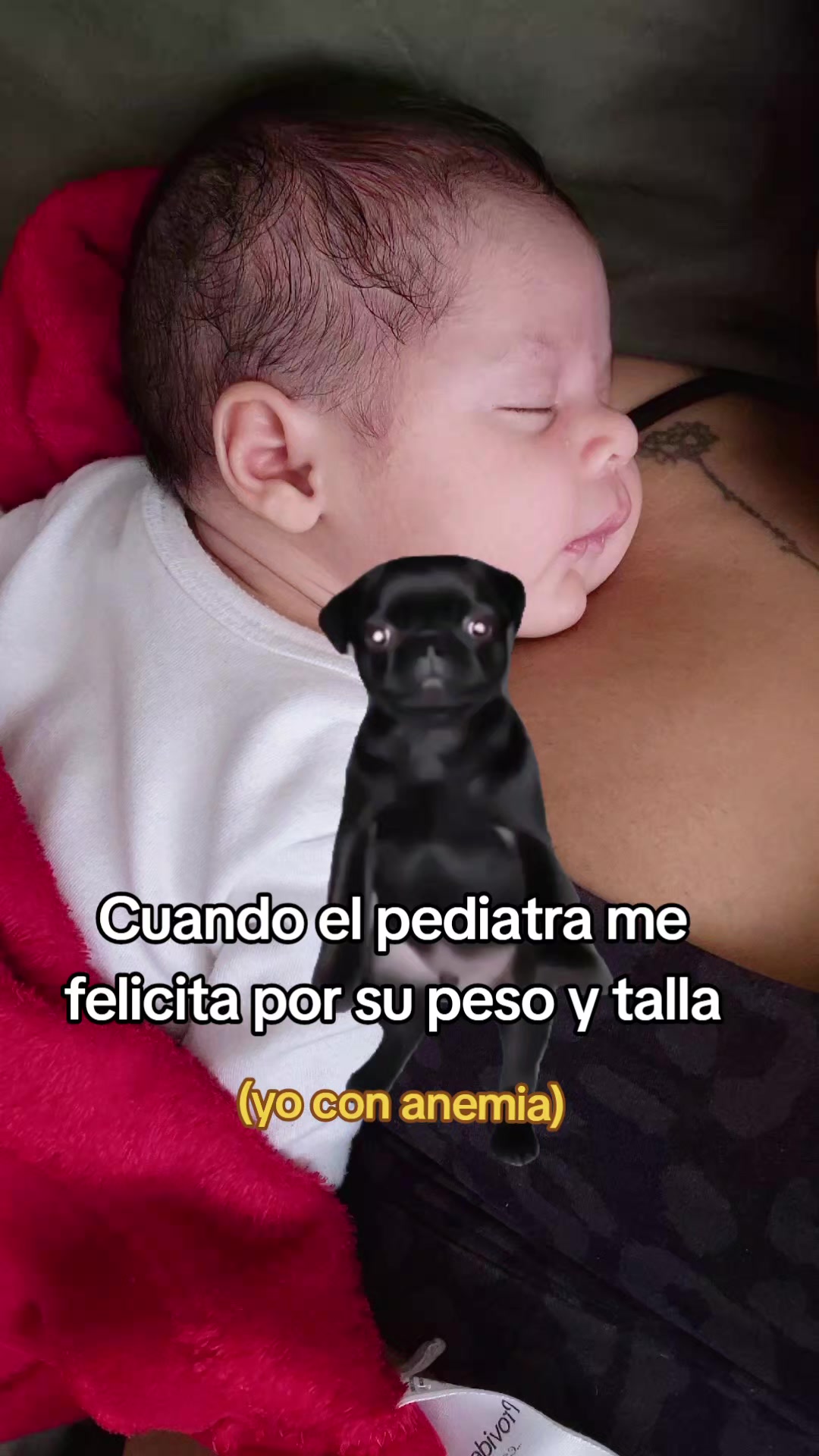 @BLANCAFLOR