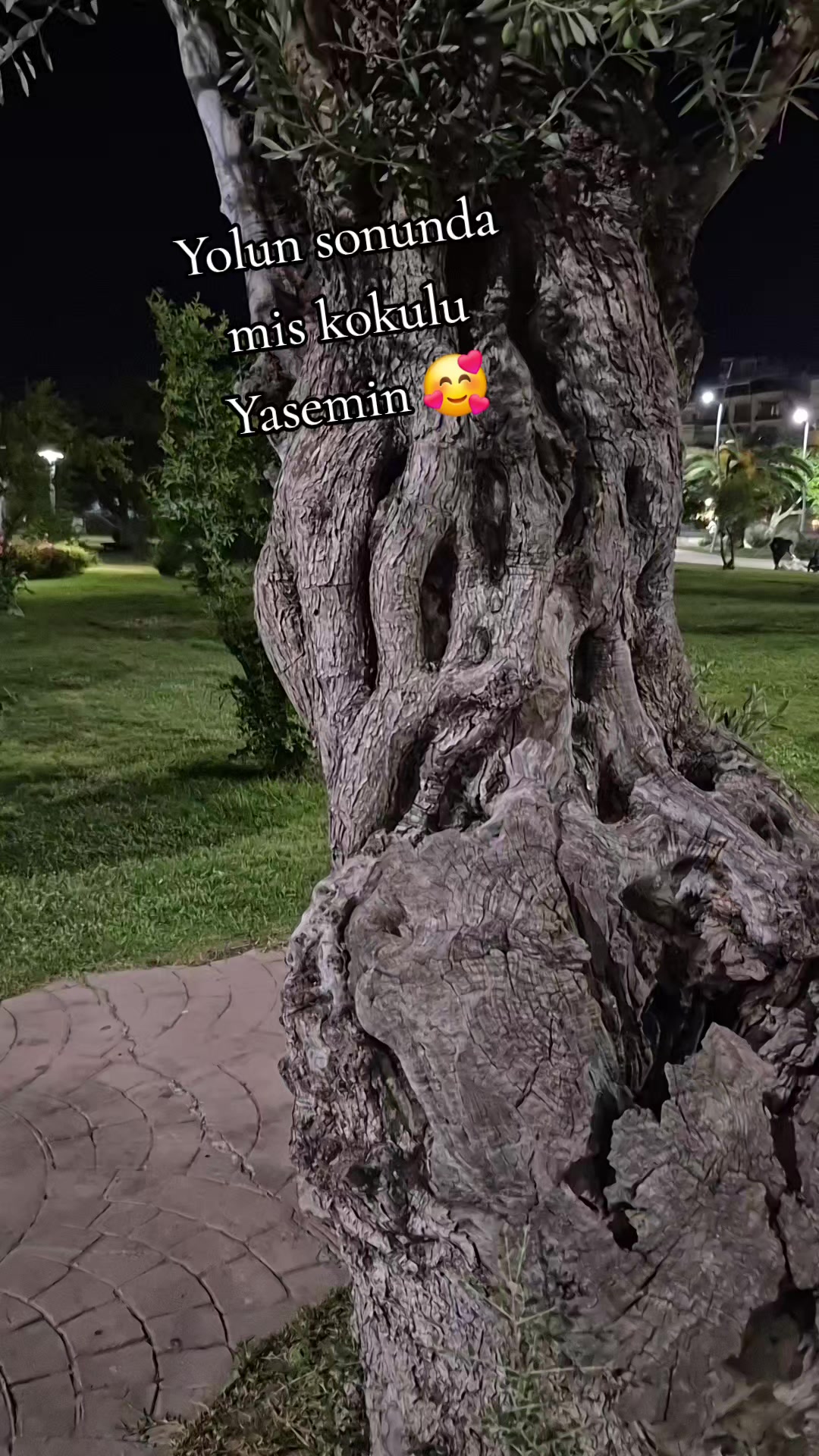 @hayatagülümse2
