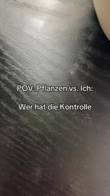@FenchelFRANZI 🦨