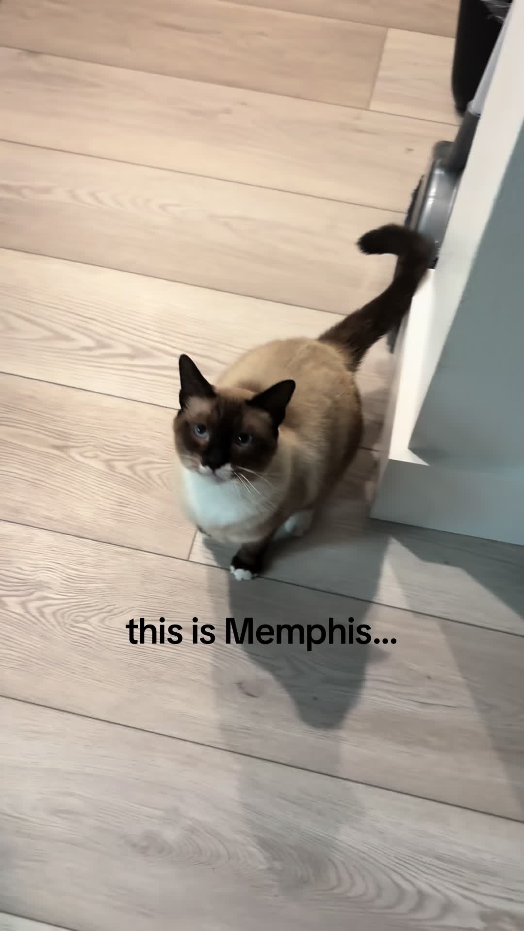 @Lexi ๐