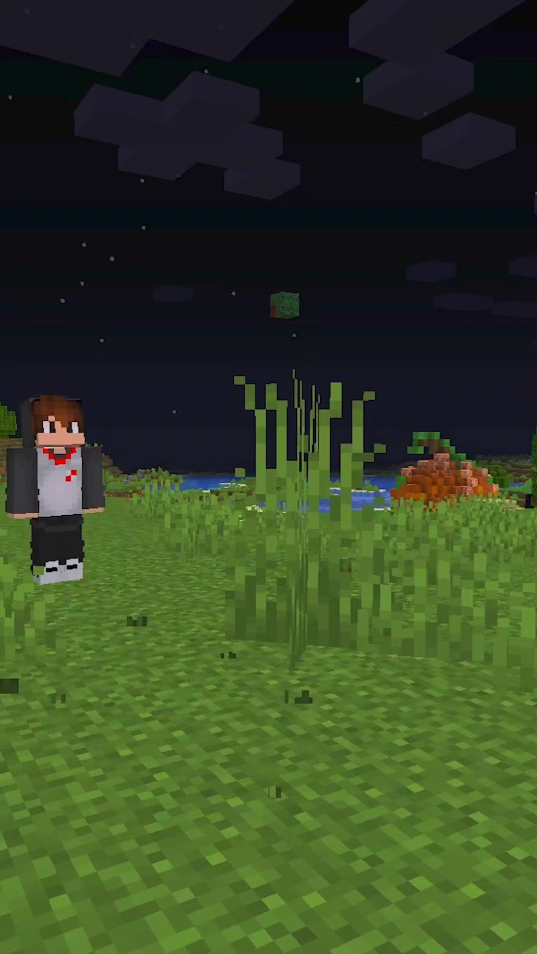 @NetPixelmon