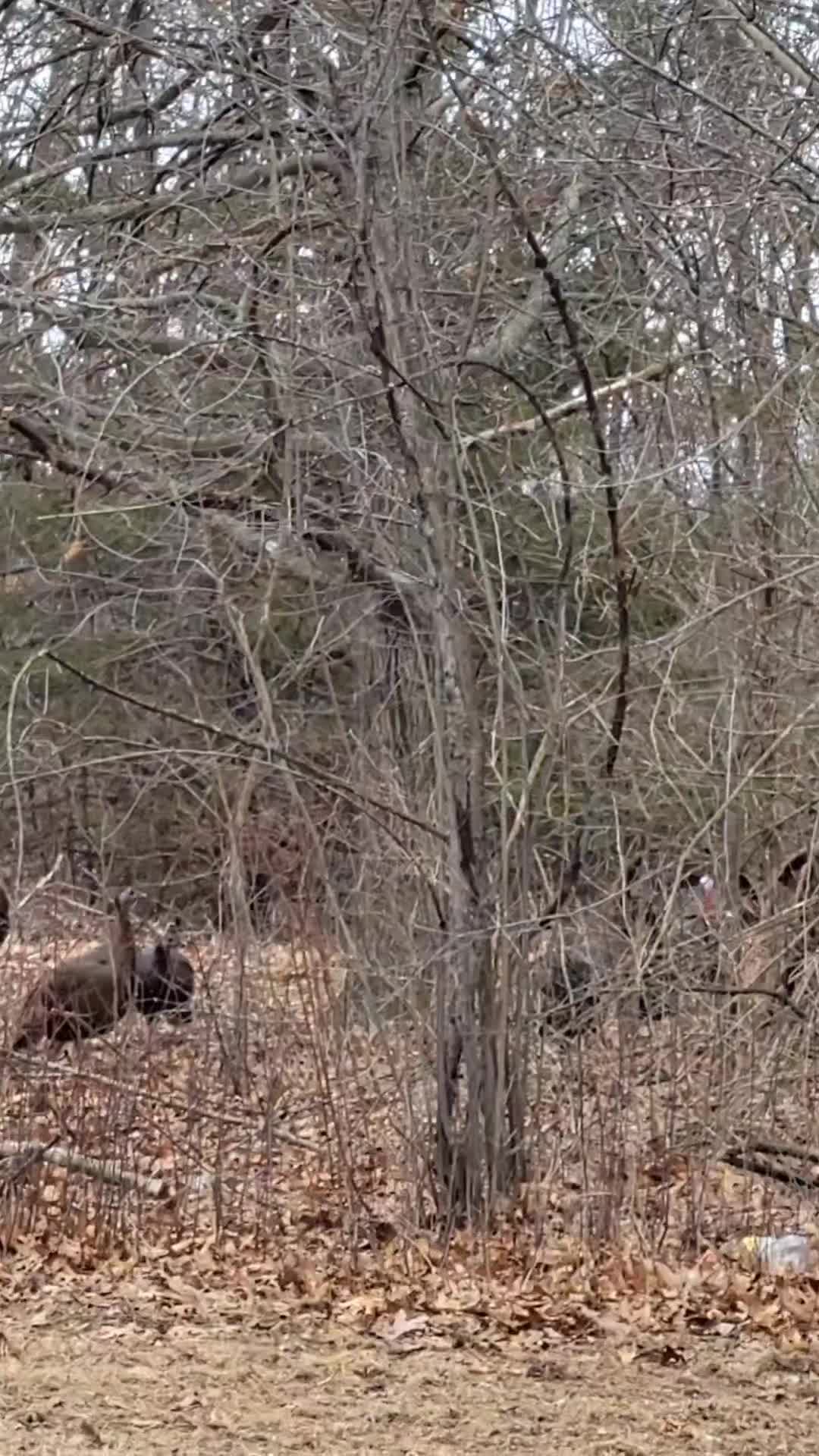 @Scott Hill Outdoors