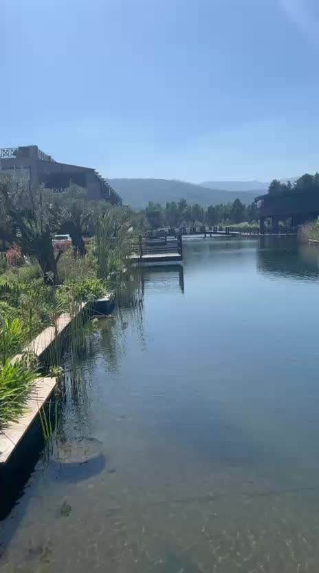 @🌻PAPATYA🌻