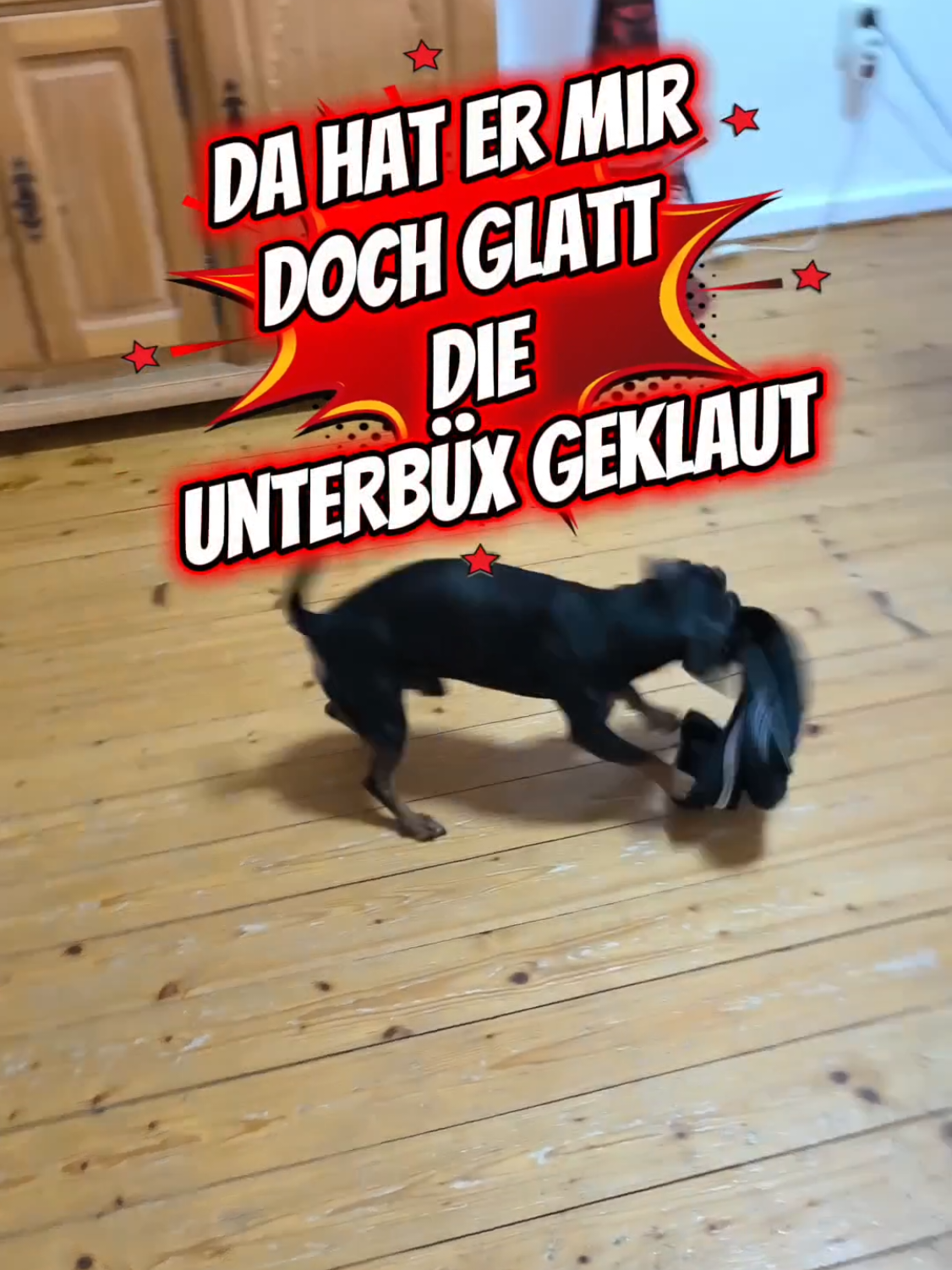 @ICH BIN'S