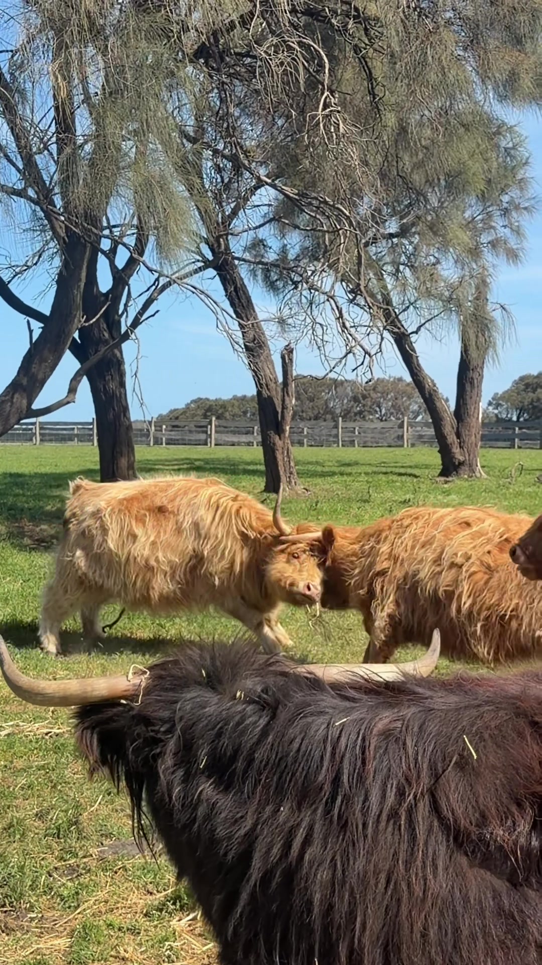 @AussieMoments 🇦🇺
