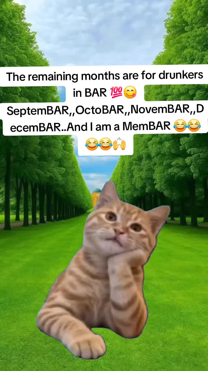 @Miss Vibez ๐ค๐๐