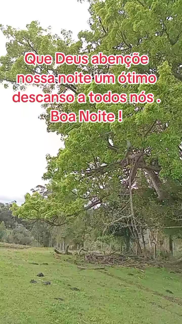 @Marlusa Ferreira Moreira