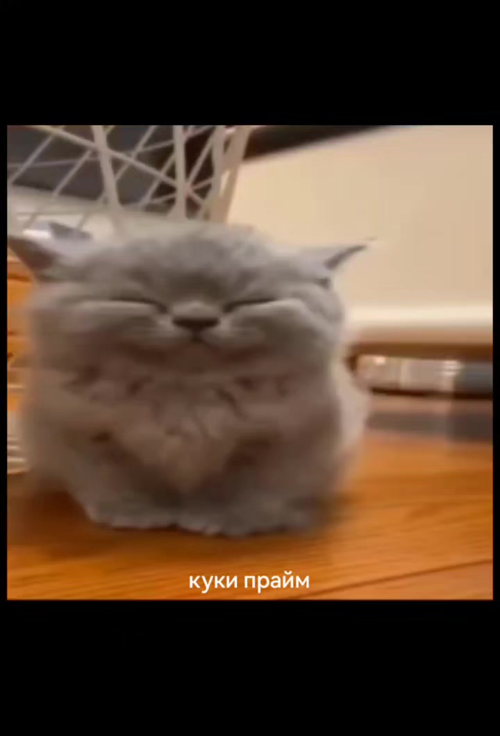 @куки прайм