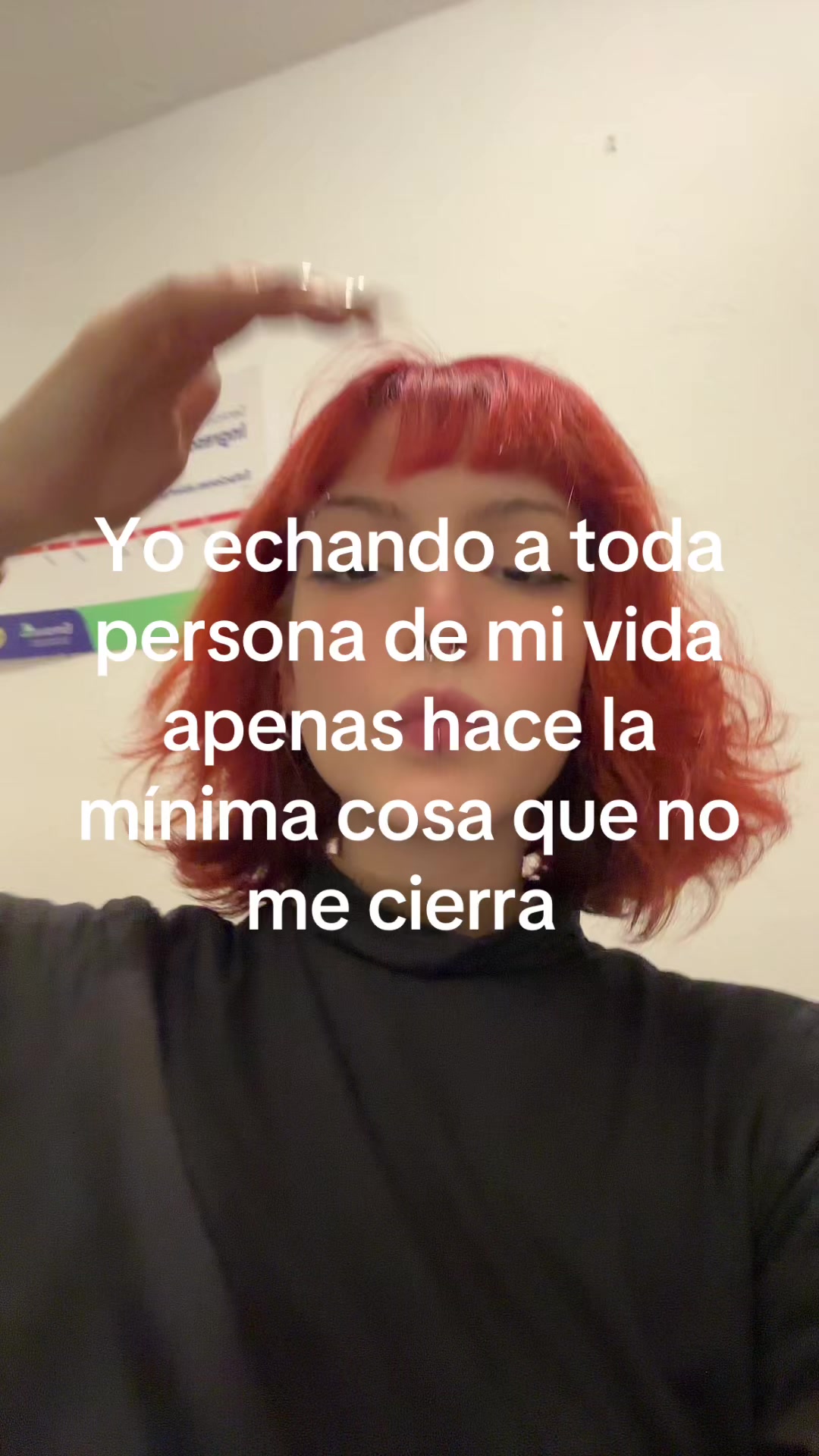 @gato punketo