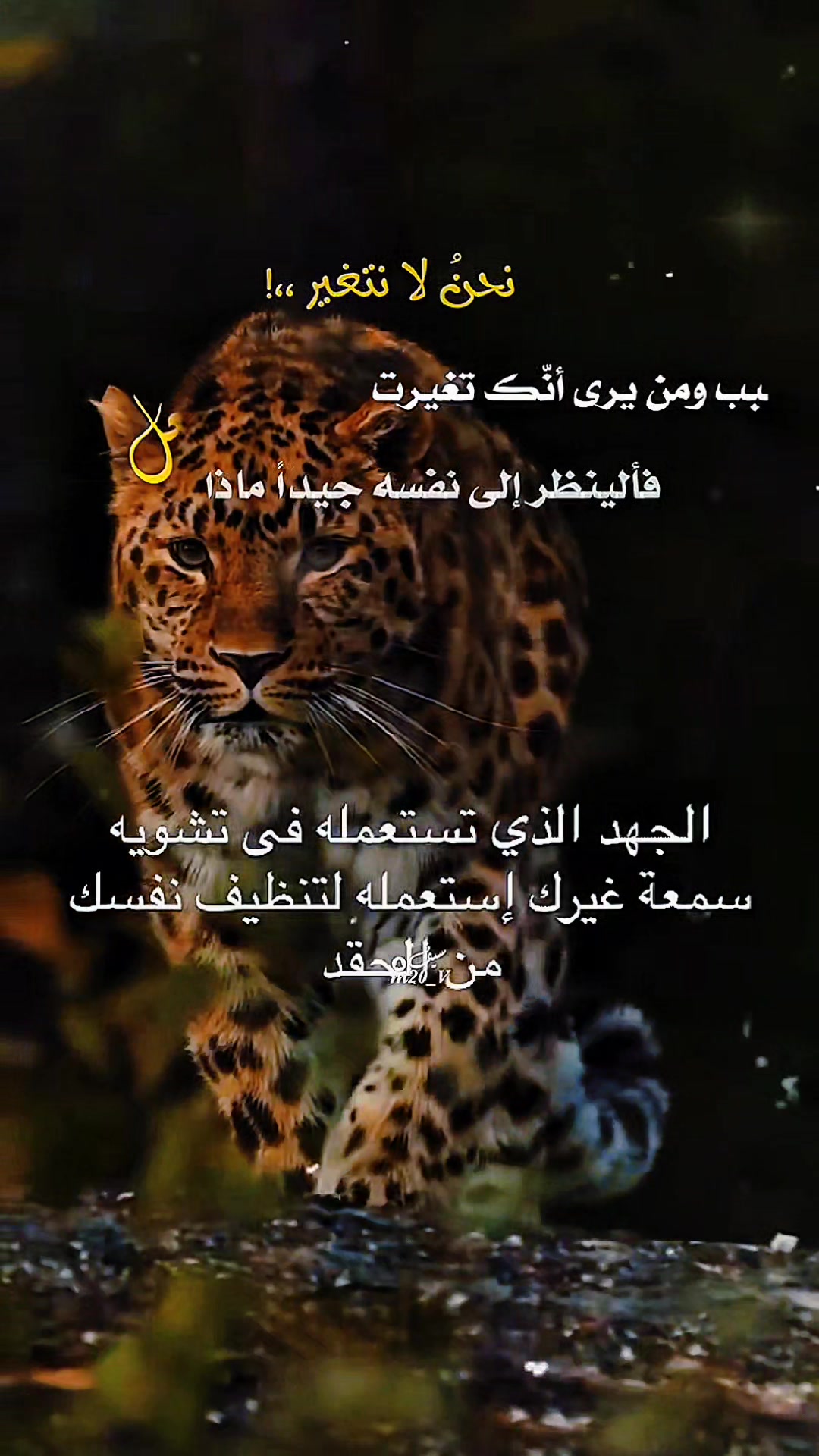 @soufian