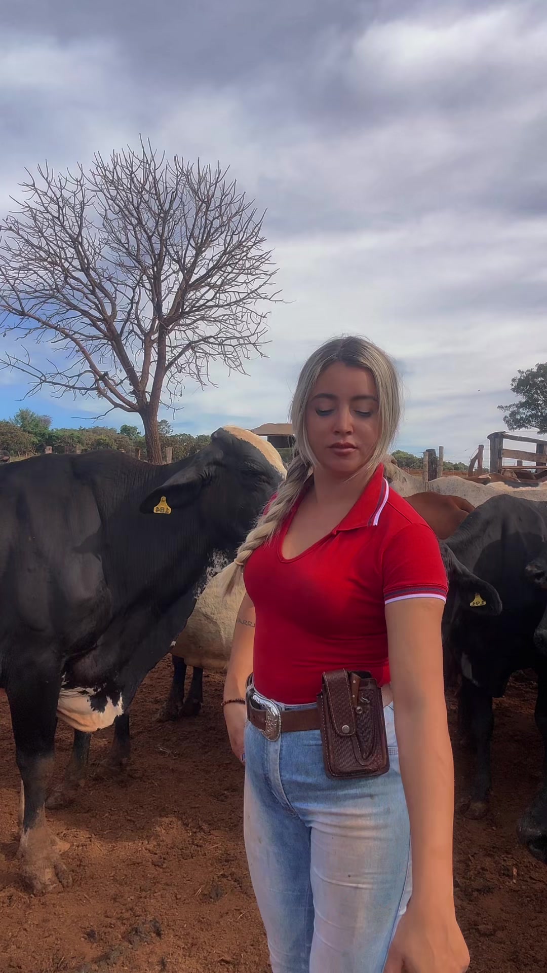 @Mariana_Fazendeira