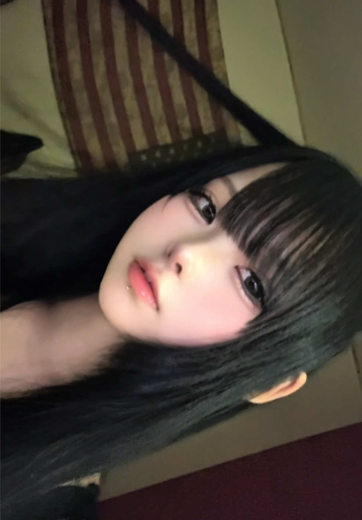 @にゃんぱすー。