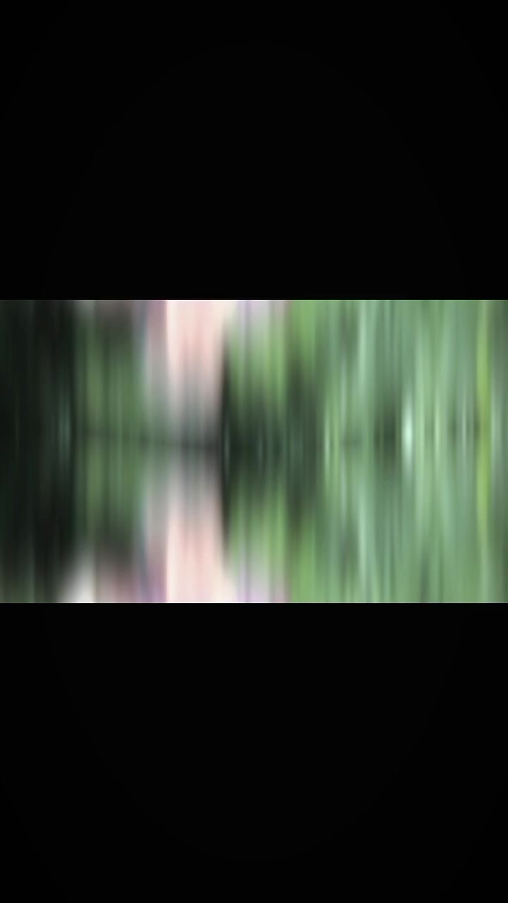 @đŚ Naw Phaw đŚ