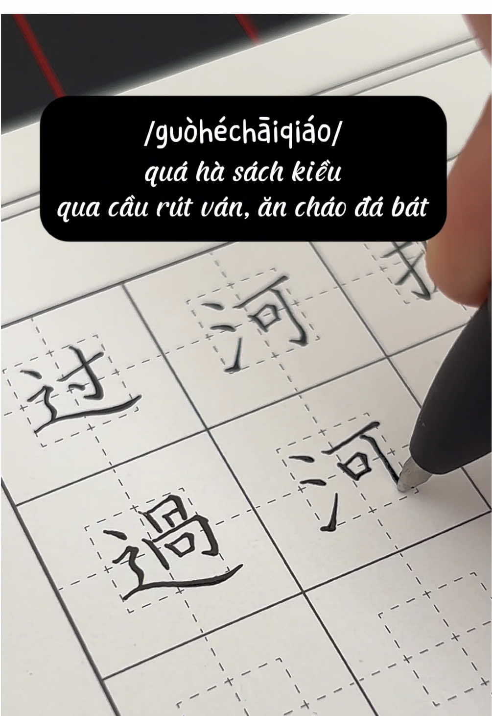 @🌷Mộc Mộc🌱木木丽红