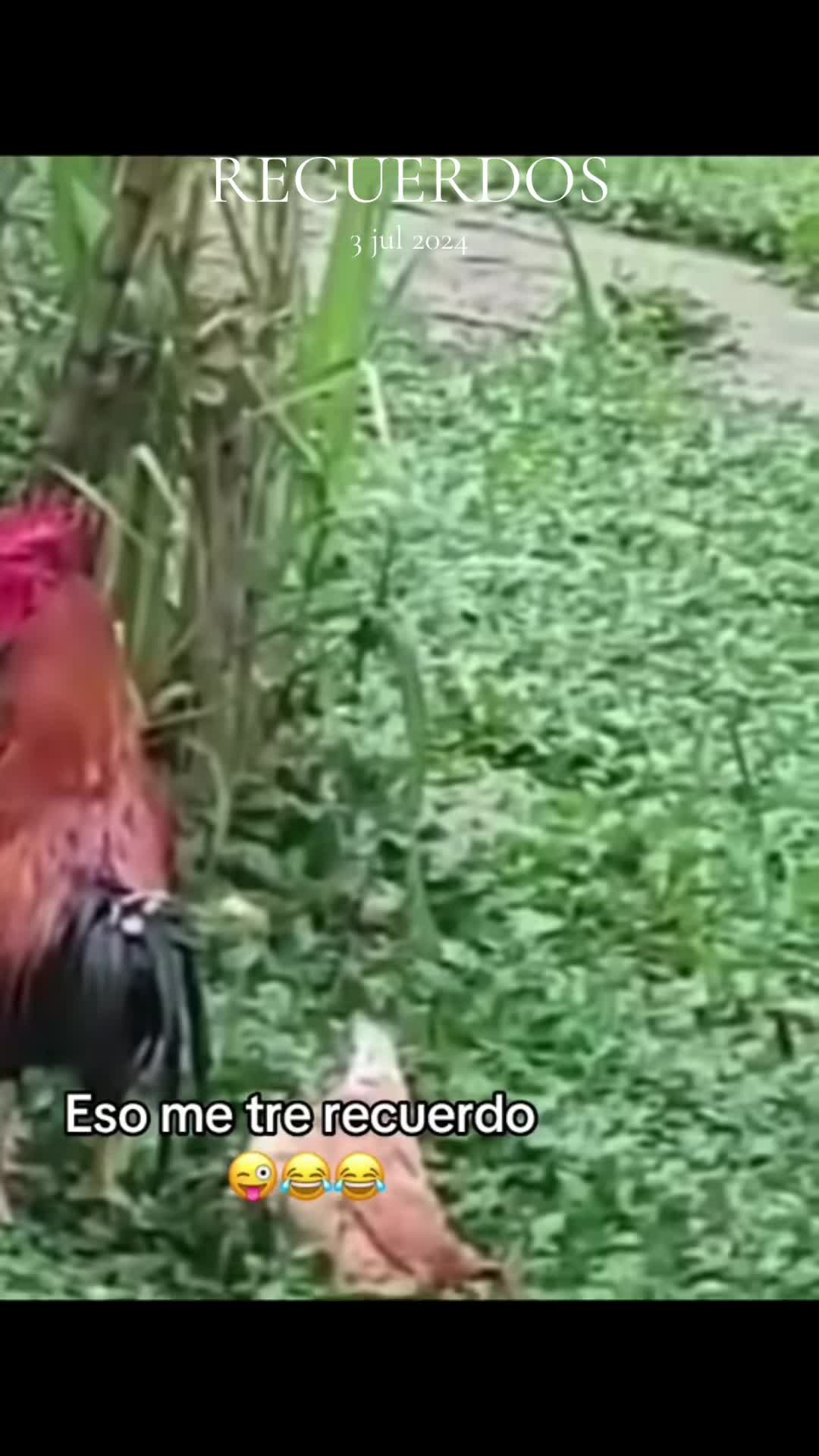 @💸Mi chica difícil