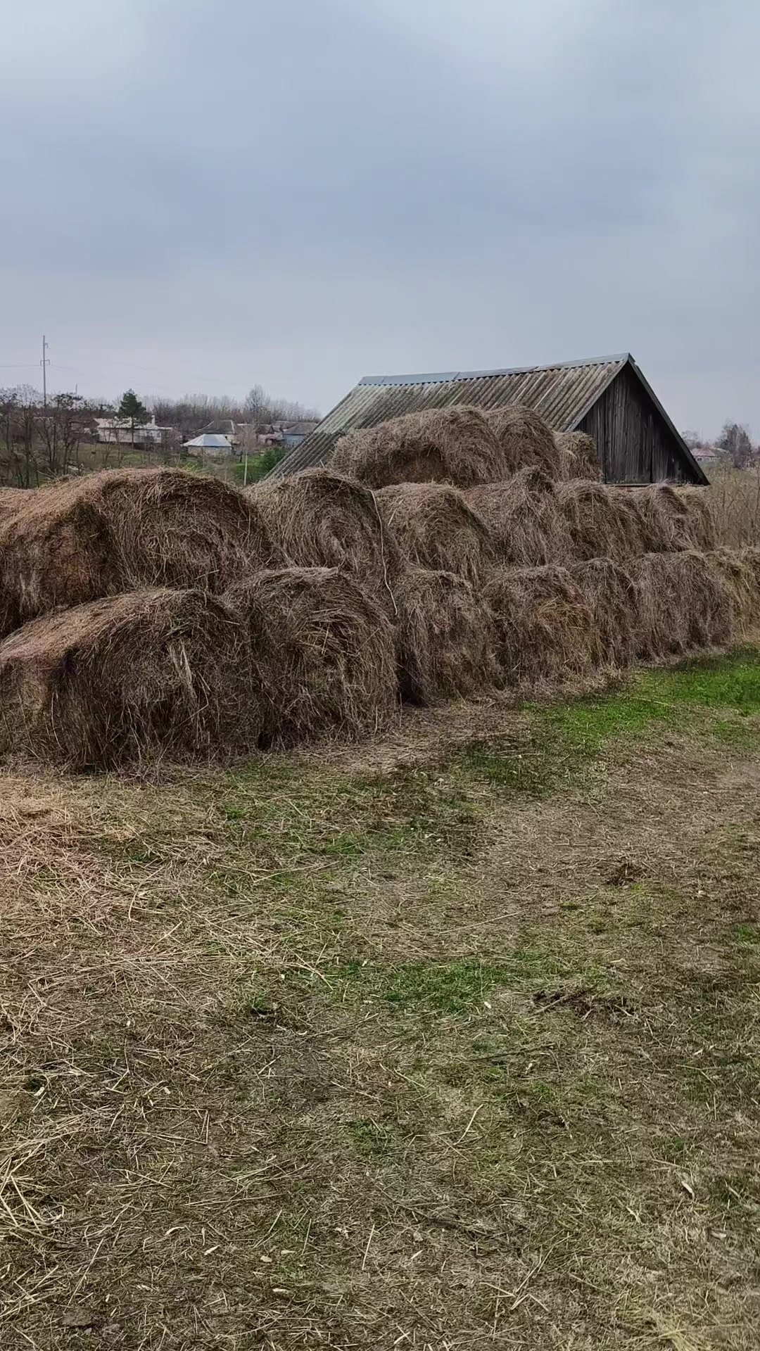@ЕЛЕНА,ЖИЗНЬ В ДЕРЕВНЕ С СЕМЬЁЙ