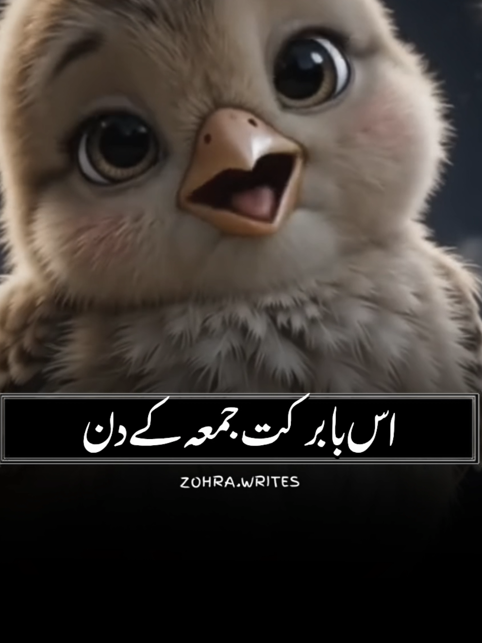 @NotYourZohra๐ค
