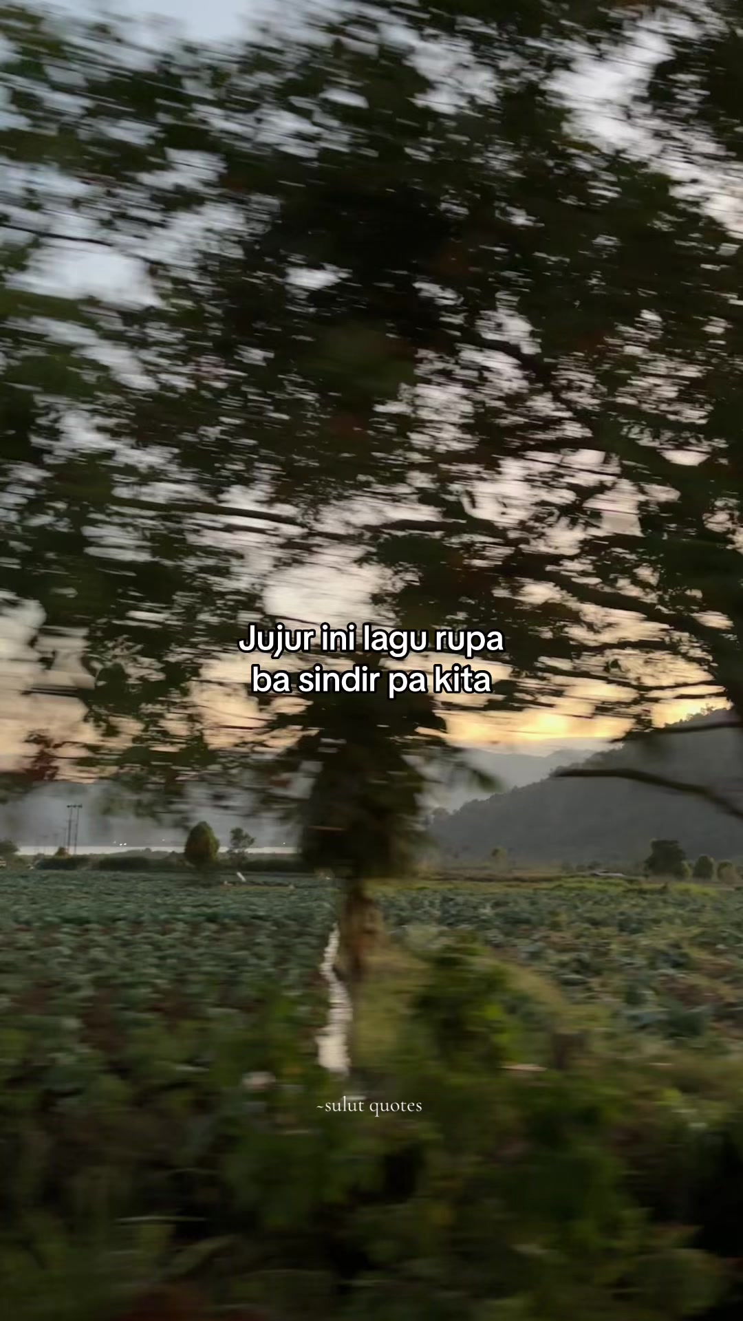 @Sulut Quotes