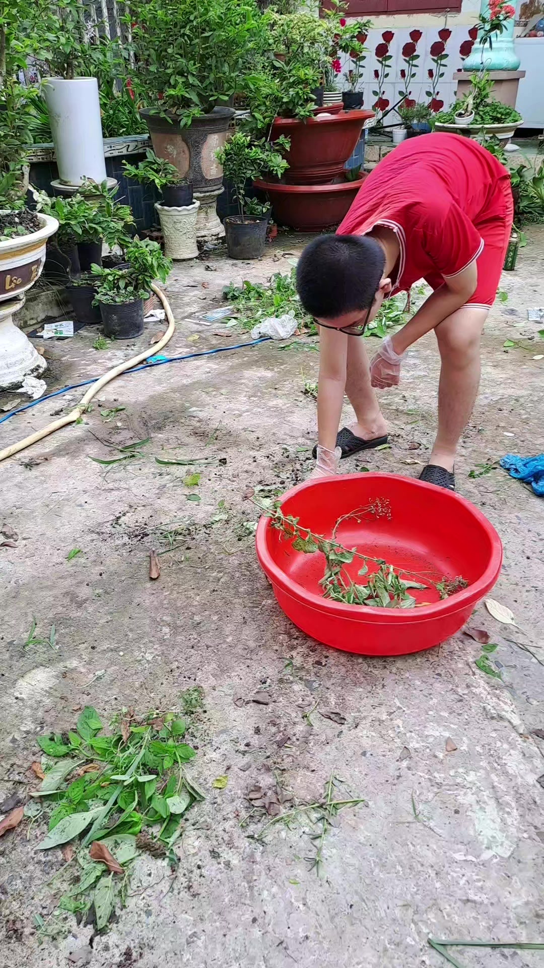 @📣Cô Phụng đây nè😆