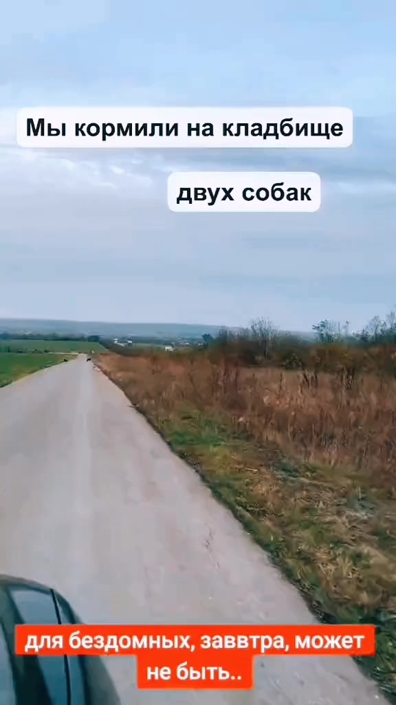 @Александр Олегович ✌️😎