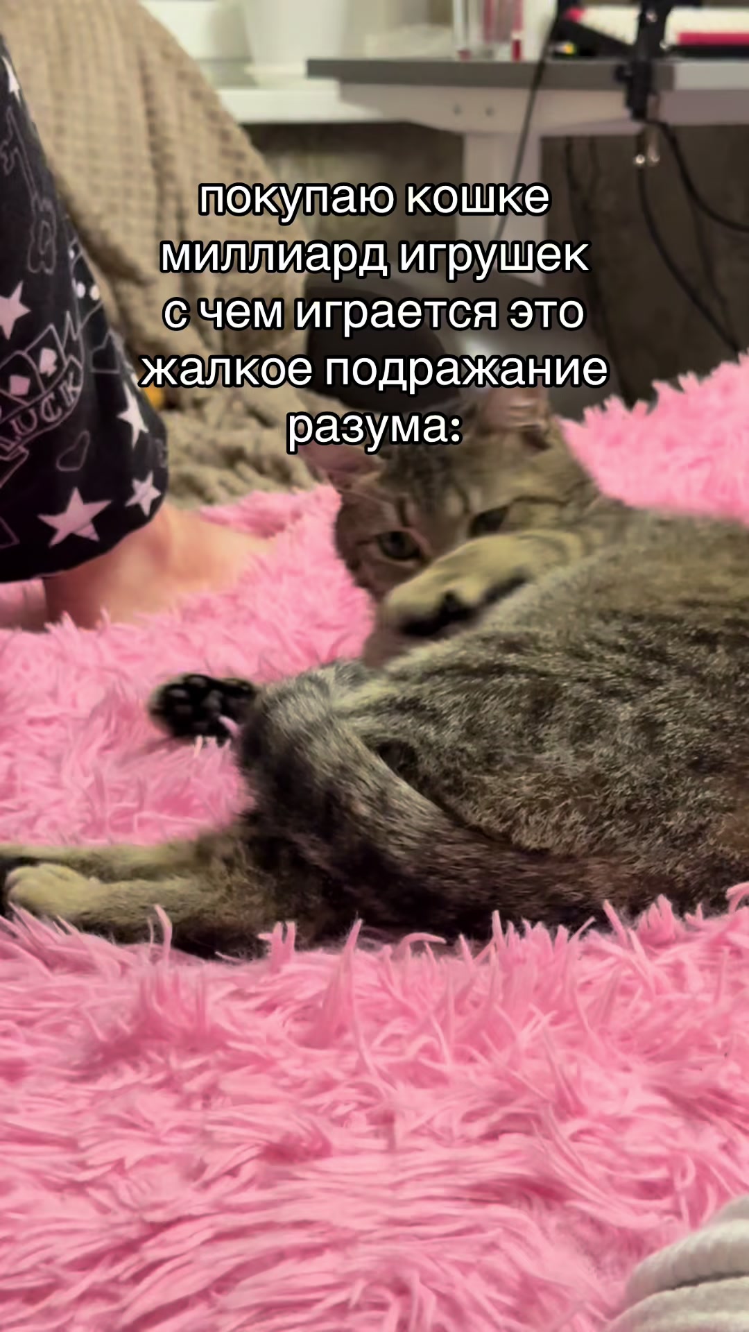 @dashazhied