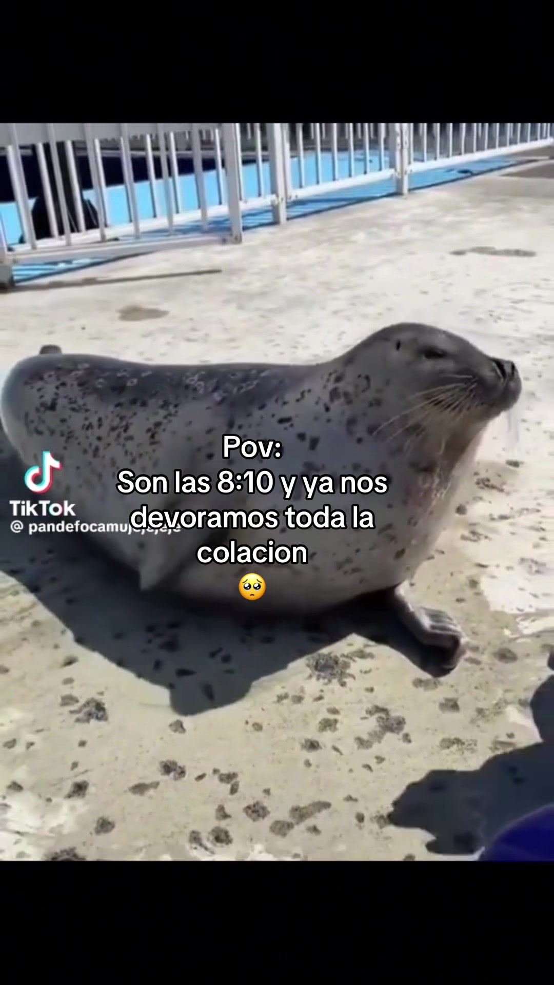 @𝟣𝓇𝑜 𝓂𝑒𝒹𝒾𝑜🖤