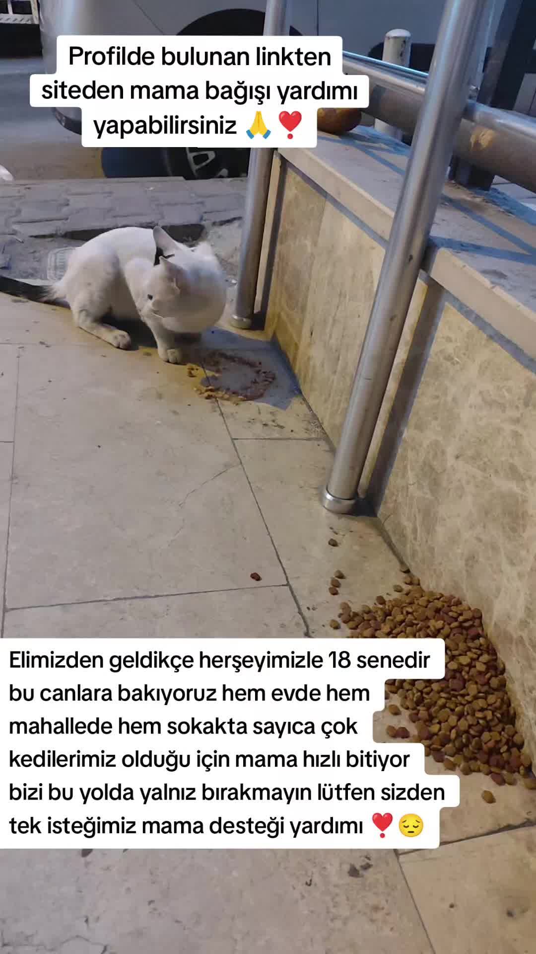 @@kedisizevolmaz