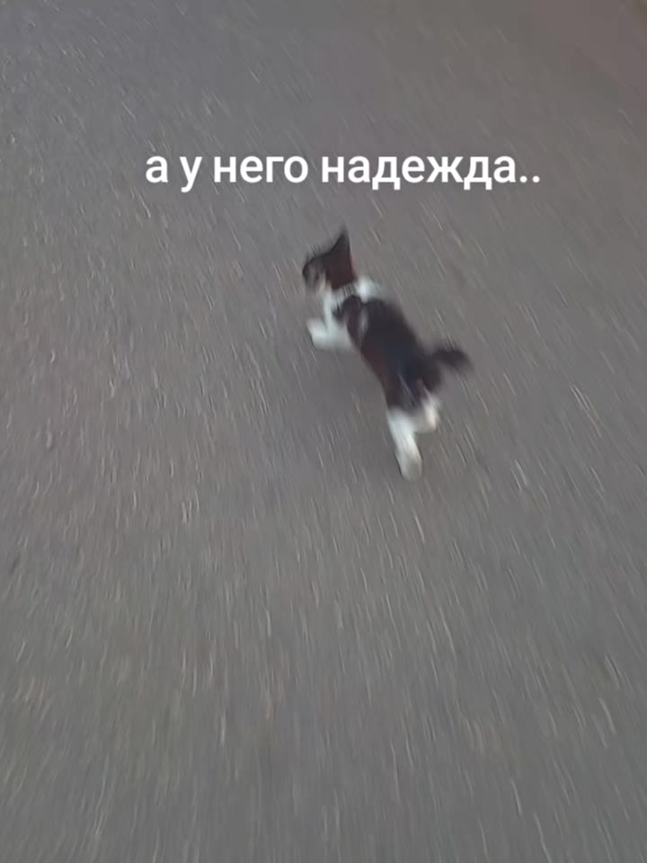@госпожа мм2
